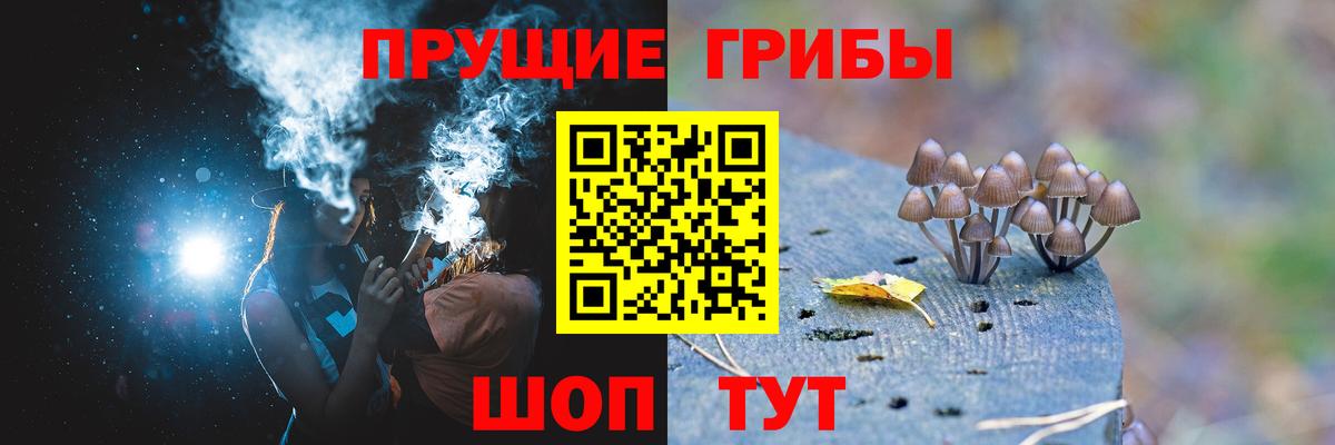 Галлюциногенные грибы Magic Shrooms  Вход с VPN  Псилоцибиновые грибы мухоморы  Ессентуки 